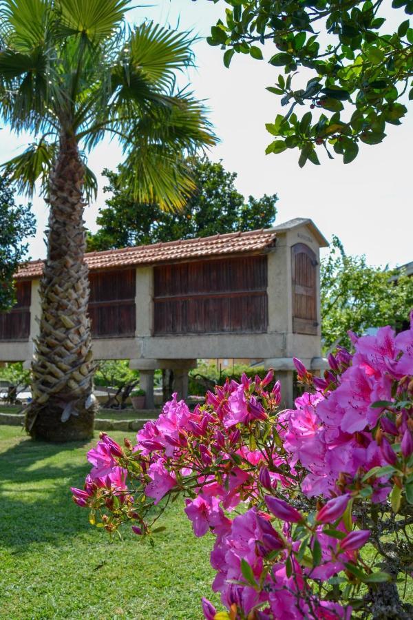 Casinha Do Eido Novo - Alojamento Local Valenca Exteriör bild